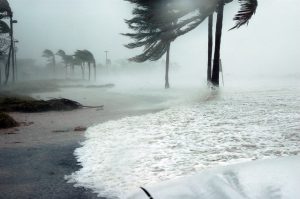 storm damage florida