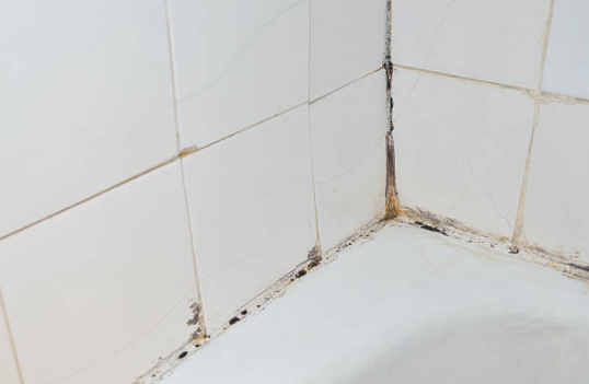 mold in bathroom, where does mold grow